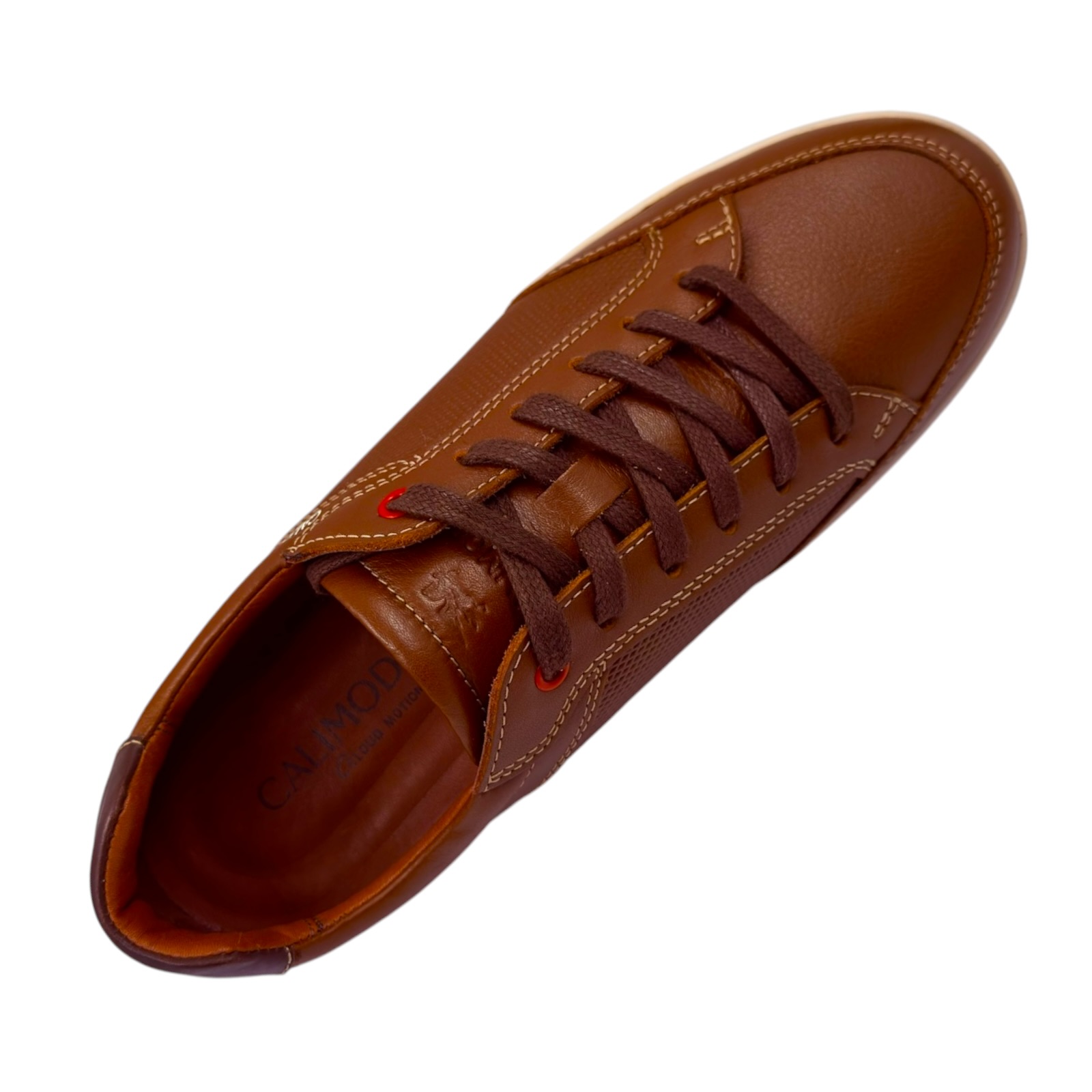 CALIMOD URBANO 674654 - 5