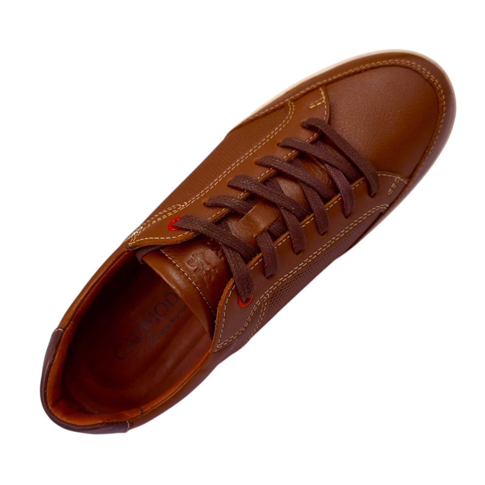 CALIMOD URBANO 674654 - 5