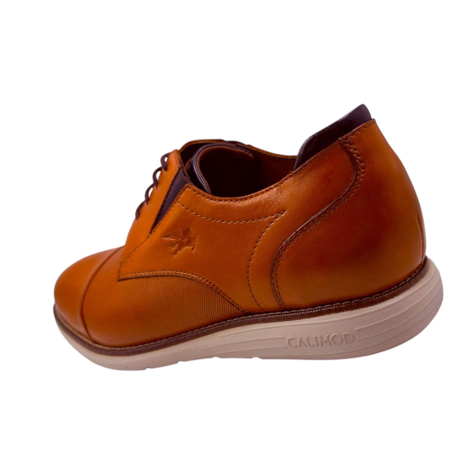 CALIMOD URBANO - 8