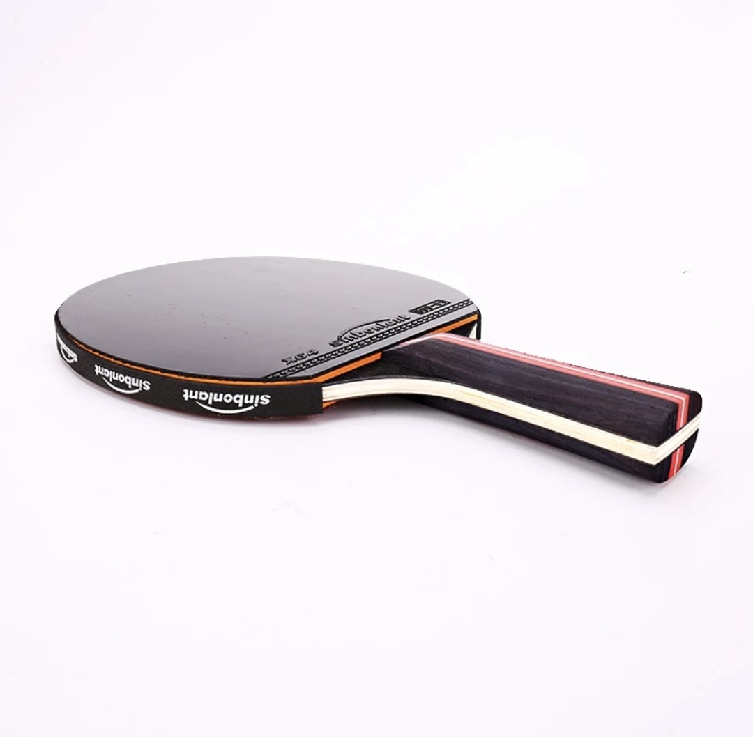 RAQUETA TENIS MESA PROFESIONAL 6 ESTRELLAS - 6
