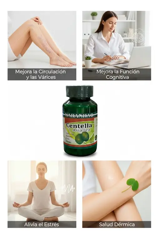 SUPLEMENTO CENTELLA ASIÁTICA MARANHÃO 600MG 100 CAPSULAS - 4