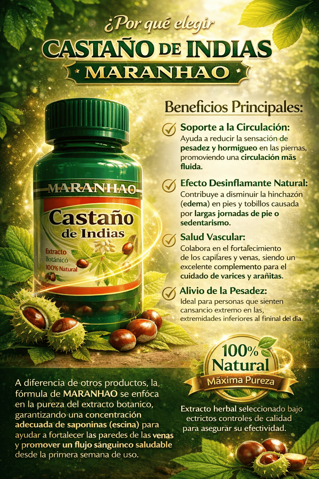 CASTAÑO DE LA INDIA BRASIL 600MG 100 CAPSULAS - 3