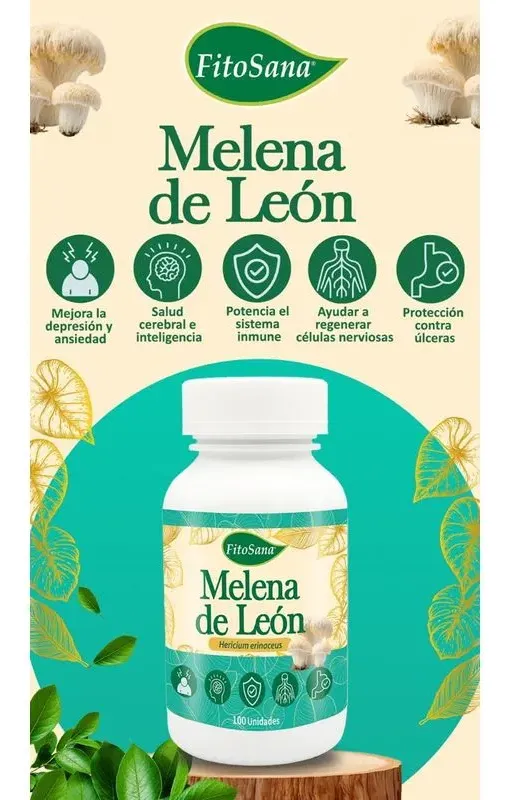 MELENA DE LEÓN FITOSANA 100 CÁPSULAS CONCENTRACIÓN Y MEMORIA - 3