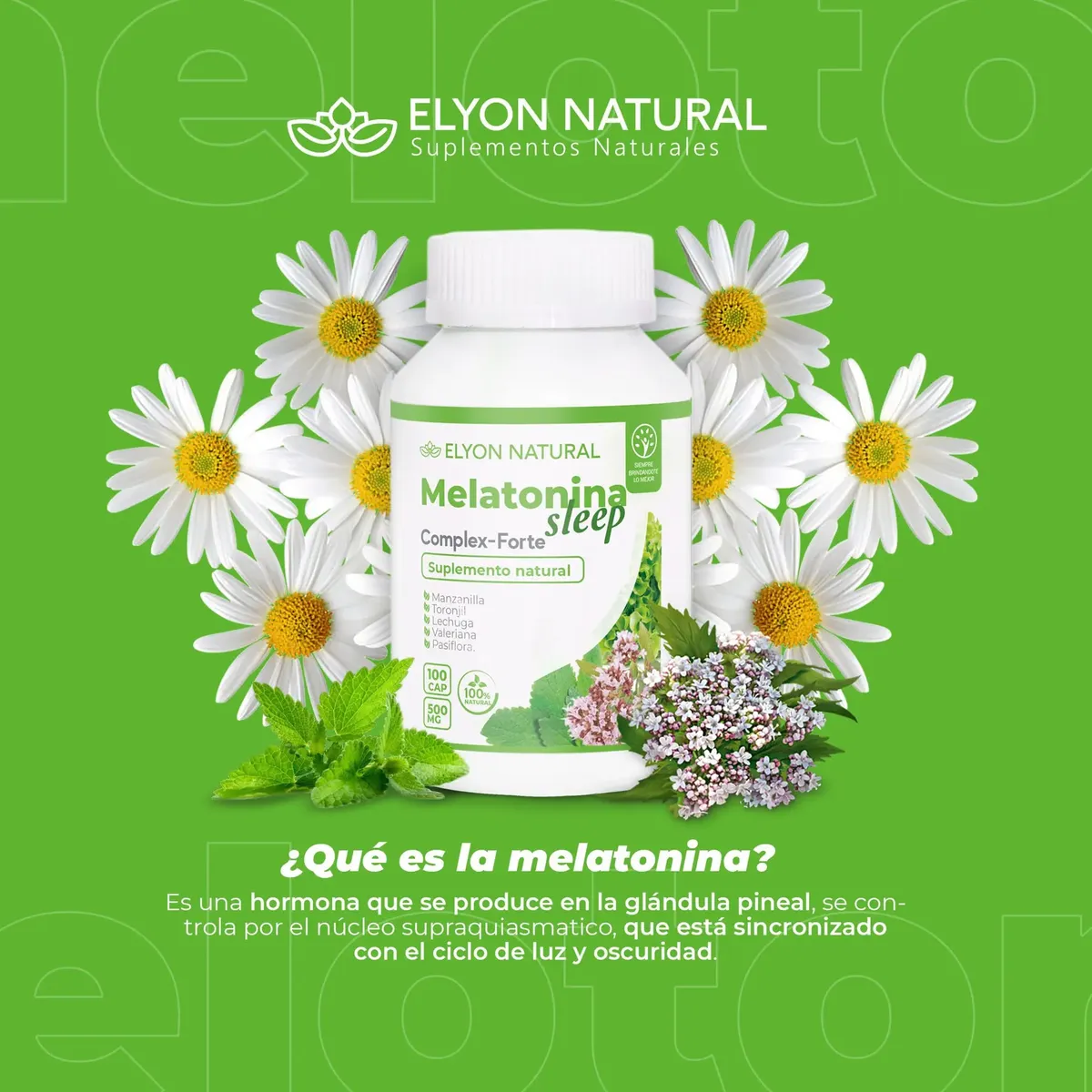 MELATONINA ELYON NATURAL DESCANSO REPARADOR 500MG 100 CAPSULAS - 5