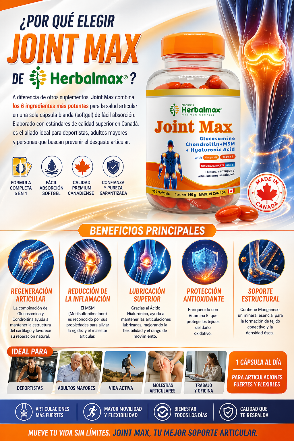 JOINT MAX HERBALMAX GLUCOSAMINE + MSM 1400MG 100 CAPSULAS - 4