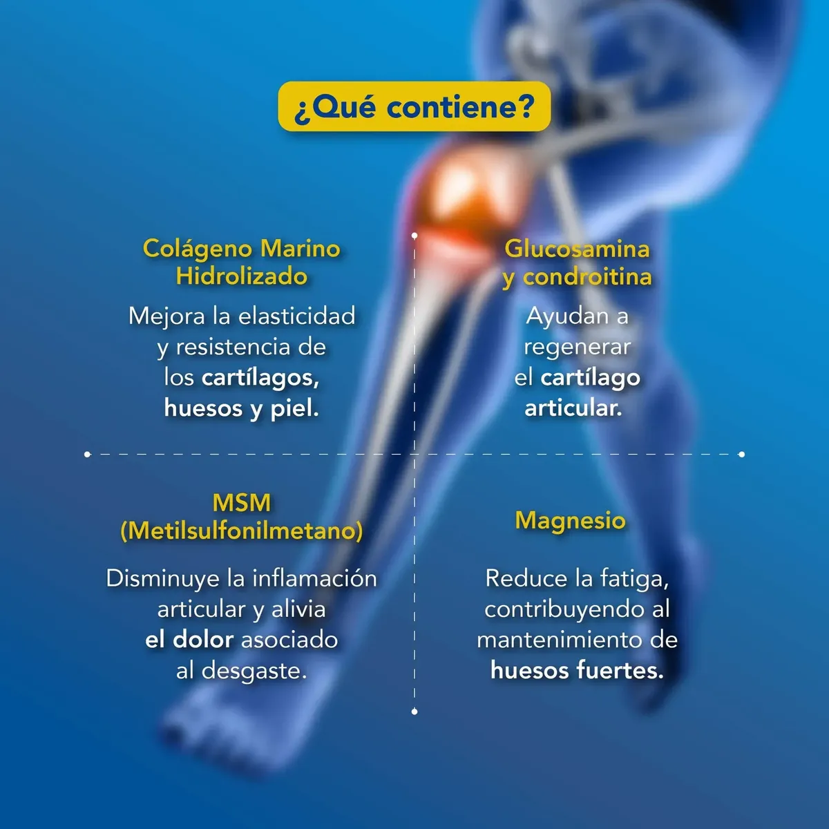 COLÁGENO MARINO HIDROLIZADO ARTICULAR ESPAÑOL DRASANVI 280G - 3