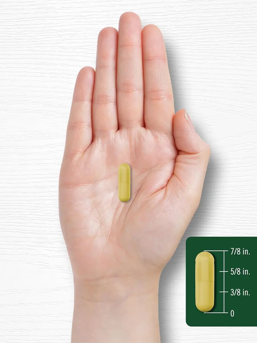 BERBERINE HCL 500.000MCG BERBERINA CARLYLE 60 CAPSULAS - 3