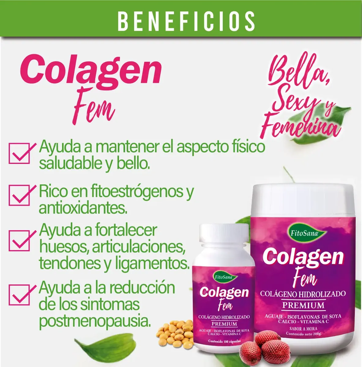 COLAGEN FEM PREMIUM FITOSANA BATIDO EN POLVO 300GR - 2