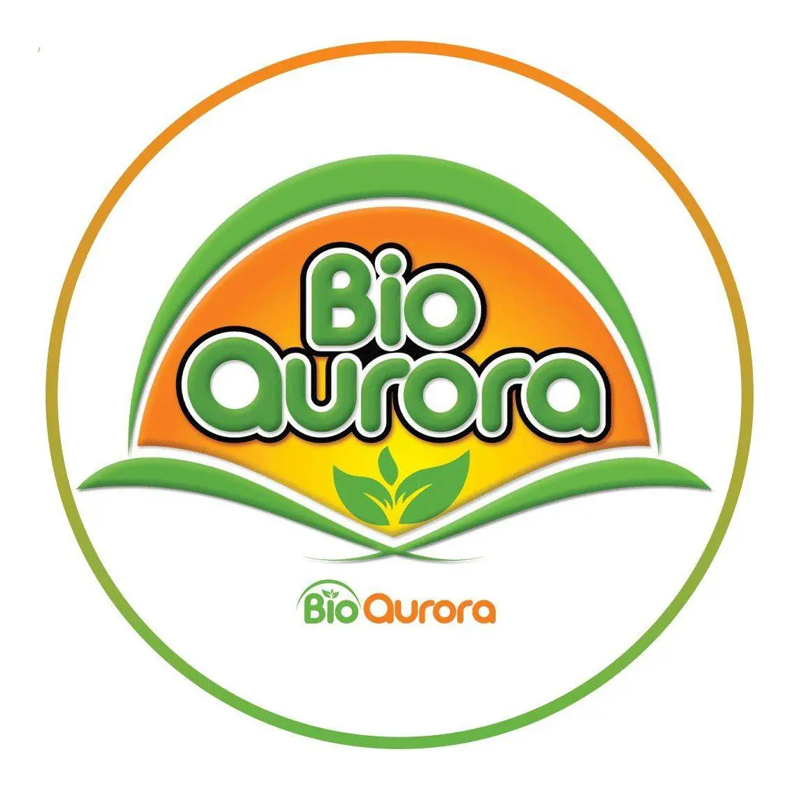 SACHA JERGÓN BIORAURORA 500MG 100 CÁPSULAS DIABETES - 4