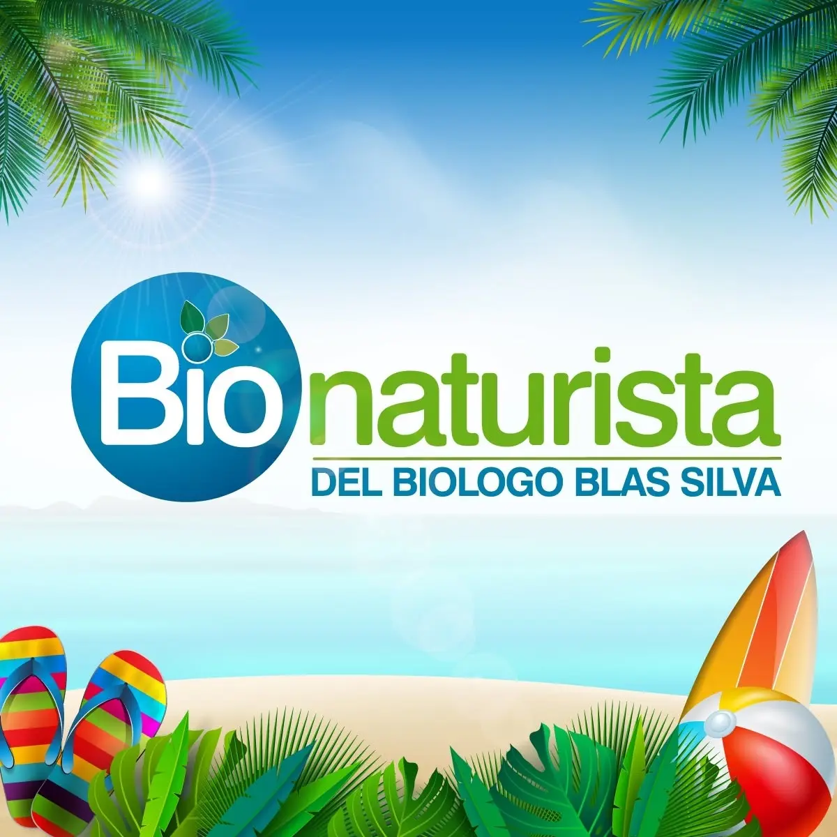 HIGA 350MG BIONATURISTA ALCACHOFA - BERROS 120 CAPSULAS - 5