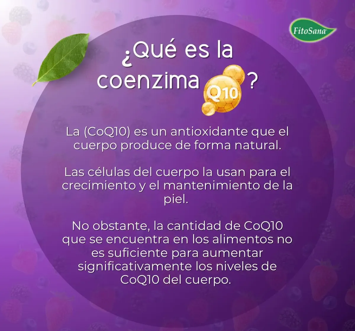 COLAGEN RESVERATROL Q10 FITOSANA ANTIOXIDANTE 100 CAPSULAS - 5