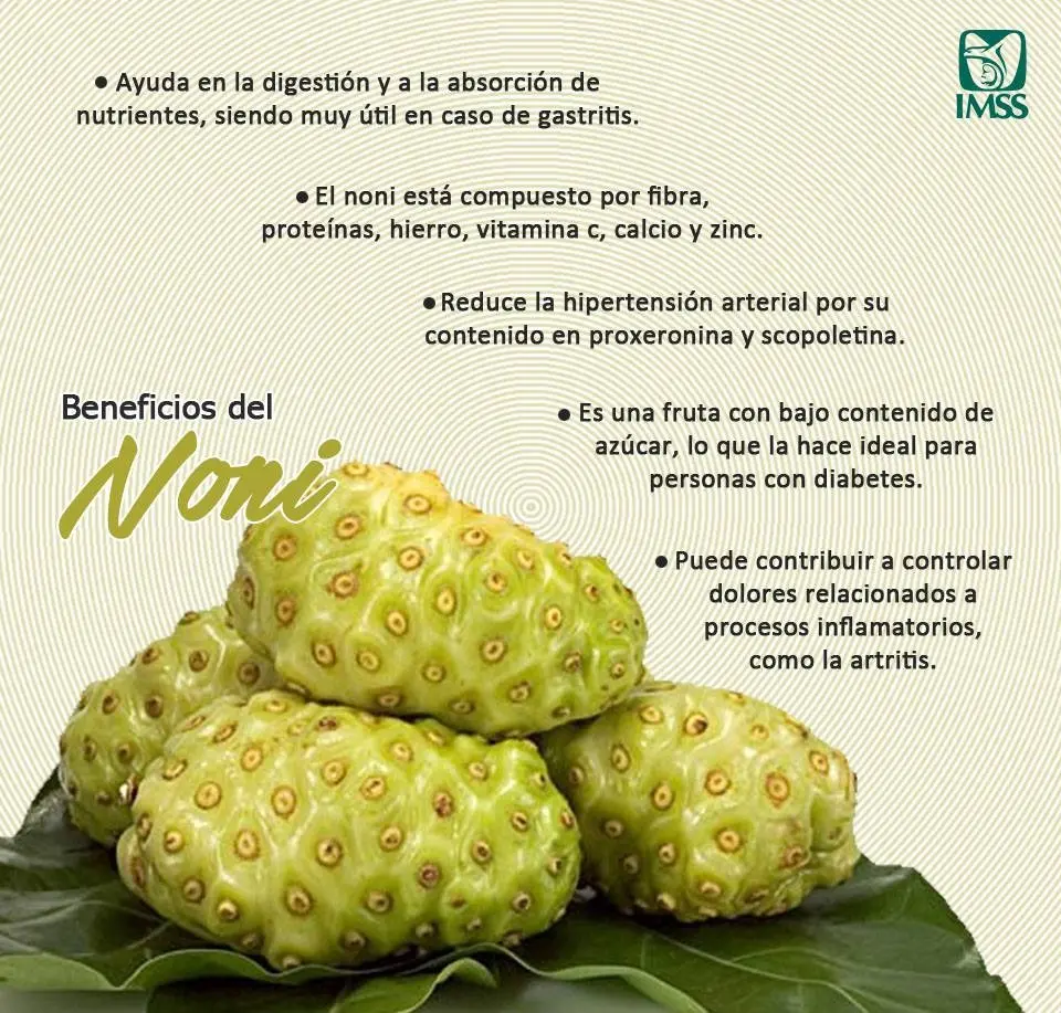 NONI 300MG NATURALMAX REFUERZA SISTEMA INMUNE 100 CAPSULAS - 2
