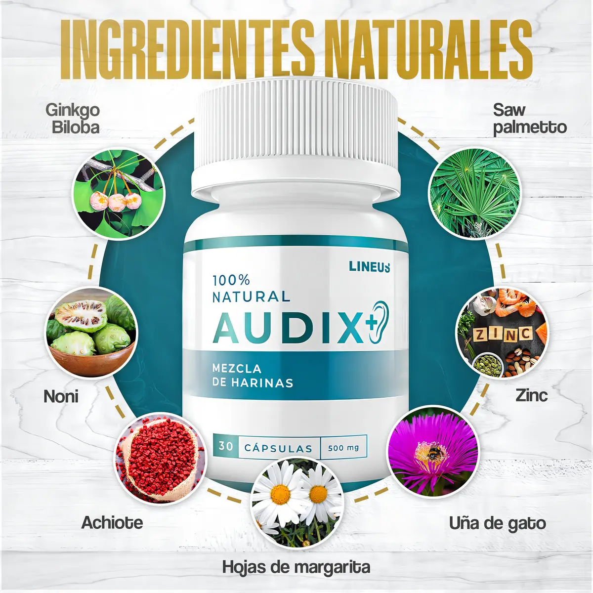 AUDIX SALUD AUDITIVA MEZCLA DE HARINAS 500MG 30 CAPSULAS - 2