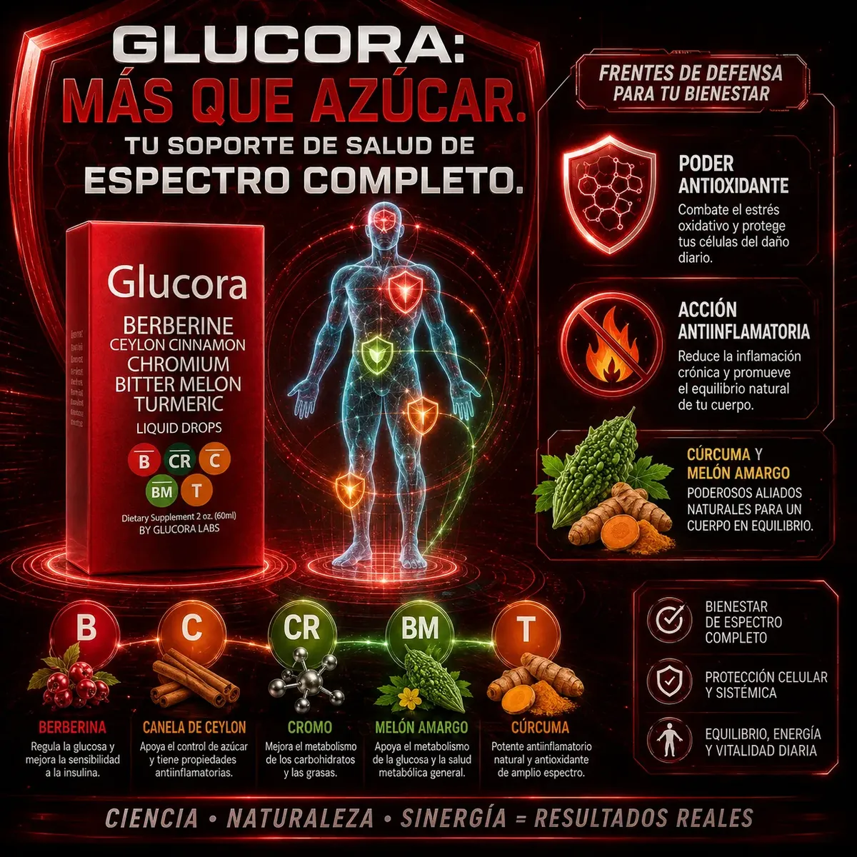 GLUCORA BERBERINE CEYLON CINNAMON CROMIUM LIQUIDO 60ML - 10