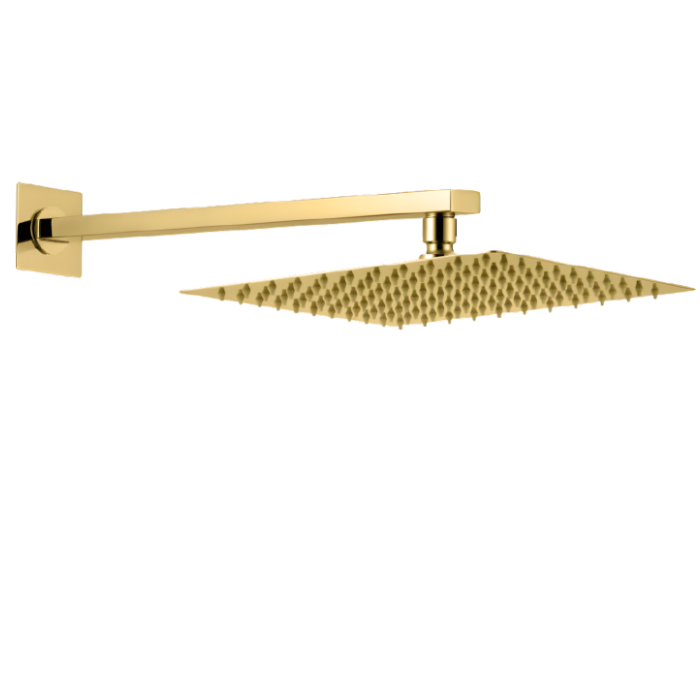 DUCHA ESPAÑOLA DE ACERO 304 DORADO +BRAZO P/6012 -SANDS 30 CM - 1