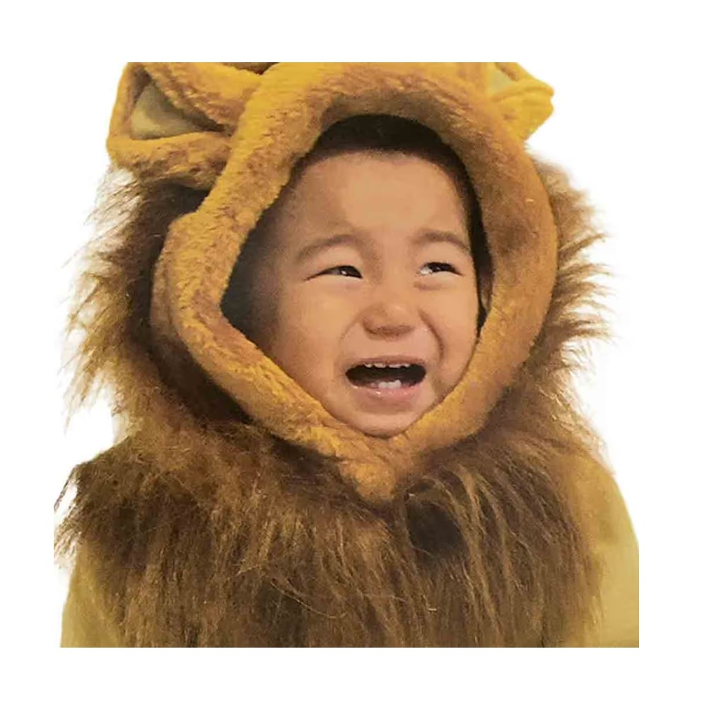 HALLOWEEN - DISFRAZ DE LEON INFANTIL DE POLIESTER 1 MODELO A - 2