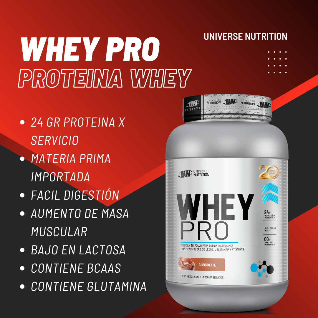 WHEY PRO 1 KG (VAINILLA) + CREATINA MONOHIDRATADA APPLIED NUTRITION 250 GR - 2