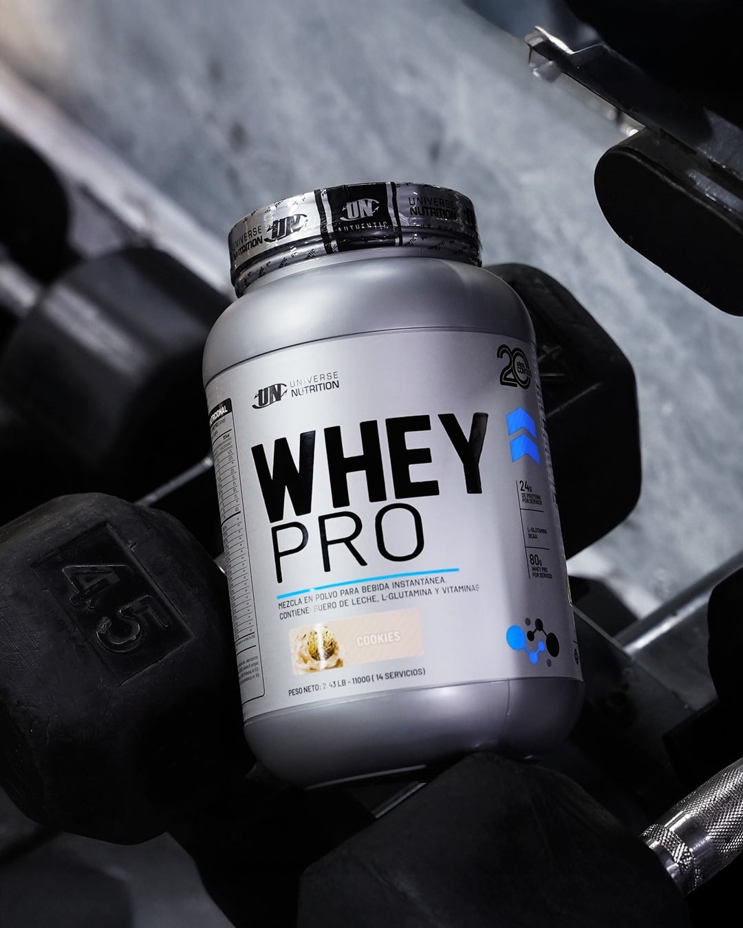 WHEY PRO 1.1 KG (CHOCOLATE) + CREATINA DY 300 GRAMOS - 2