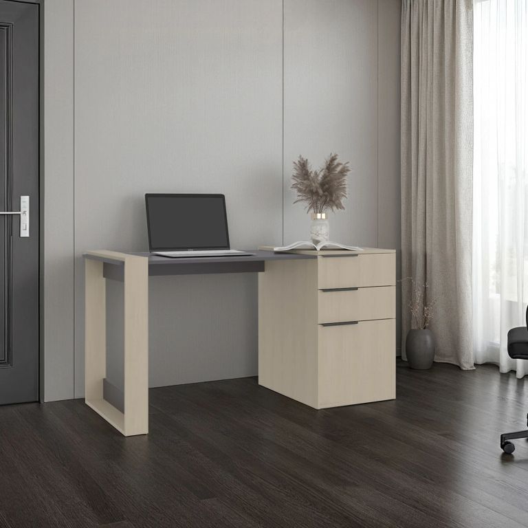 ESCRITORIO RECTO 2 CAJONES 1 PUERTA OFFICE 75,7X142X64,5 CM CARTAGENA Y PLOMO - 1