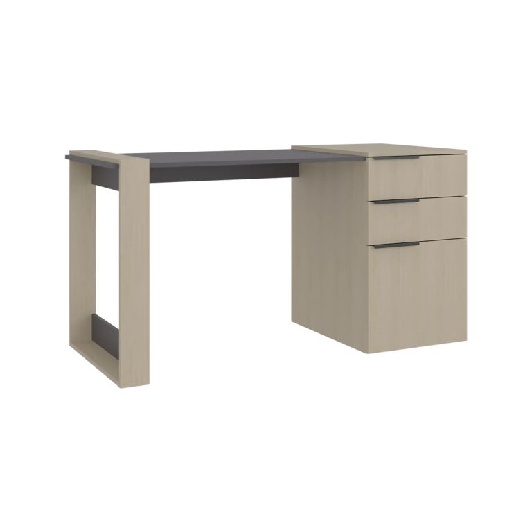 ESCRITORIO RECTO 2 CAJONES 1 PUERTA OFFICE 75,7X142X64,5 CM CARTAGENA Y PLOMO - 3