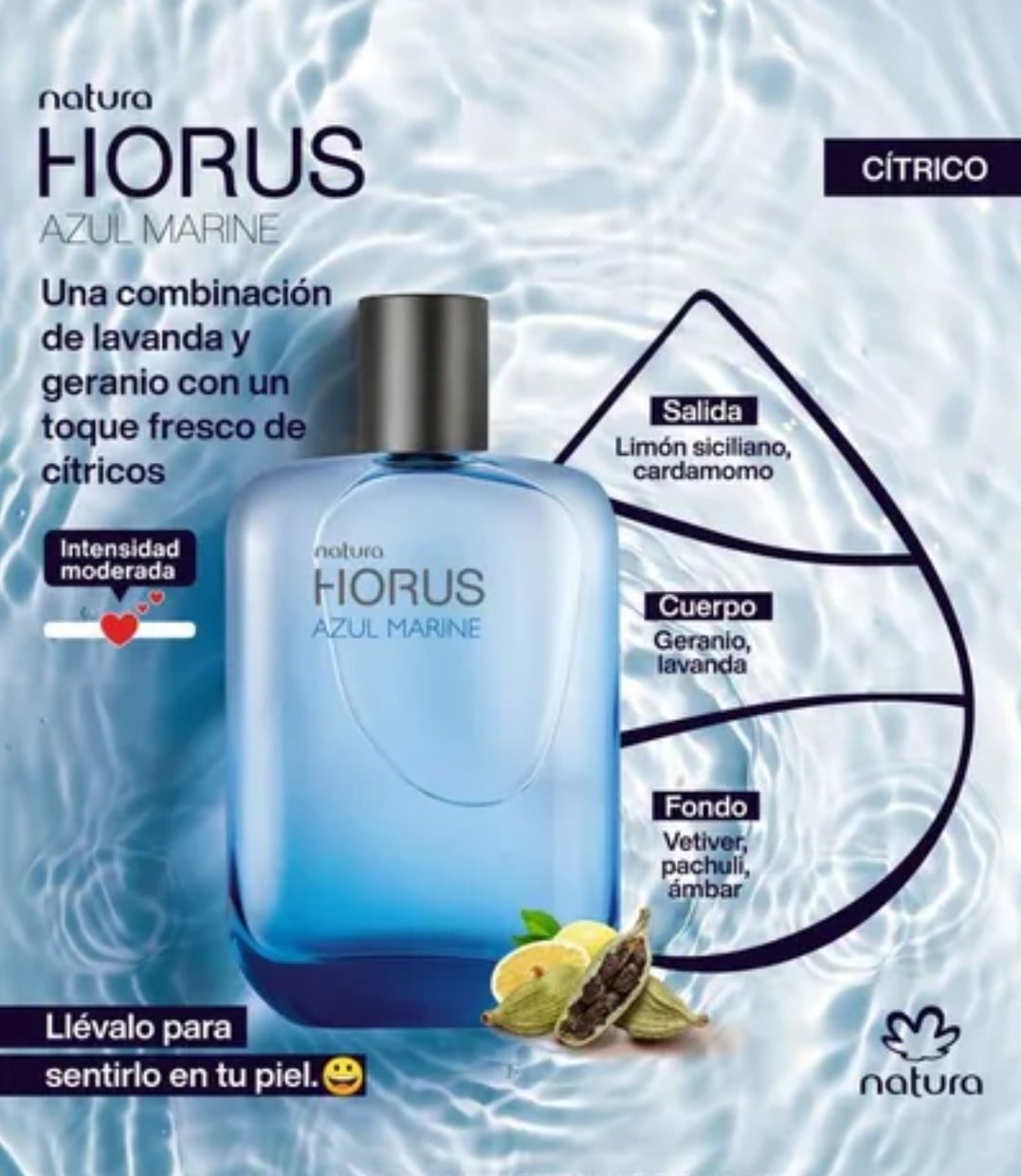 PERFUME DE HOMBRE HORUS EAU DE TOILETTE AZUL MARINE KAIAK NATURA 100 ML - 2