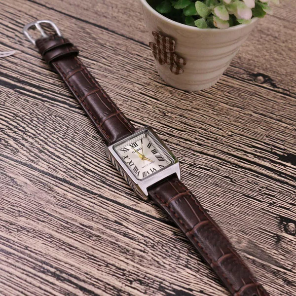 LTP-V007 | RELOJ CASIO PARA MUJER DE CUERO PLATEADO/MARRÓN | CAS-42 - 2