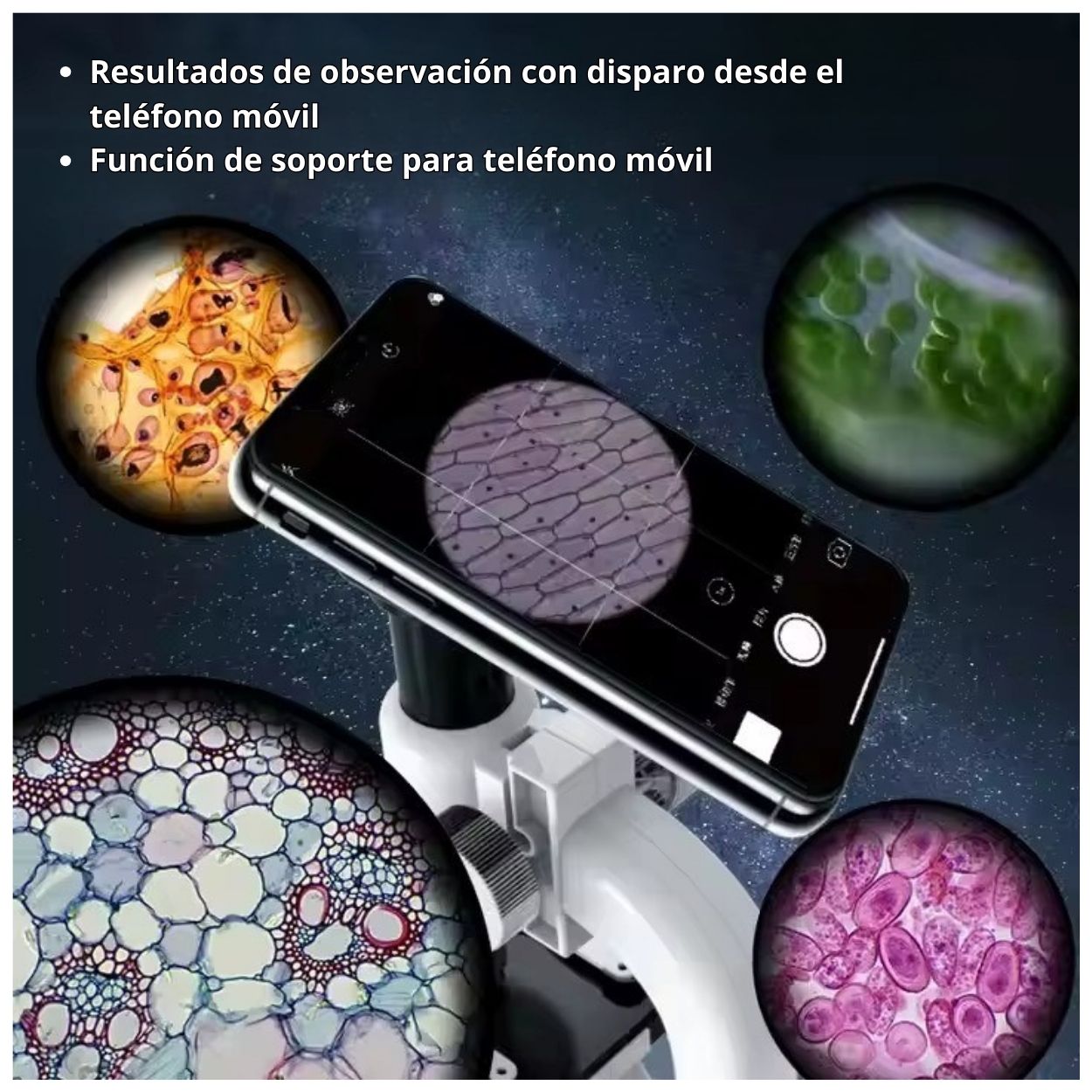 SET MICROSCOPIO INFANTIL CON AMPLIACIÓN HASTA X1200 - 7