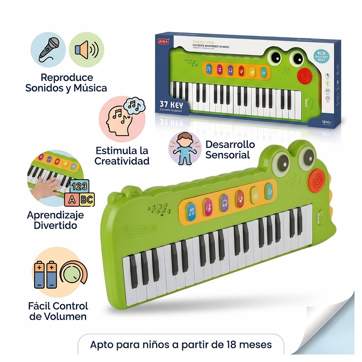 JUGUETE PIANO COCODRILO TECLADO MUSICAL DIDÁCTICO 37 TECLAS - 1