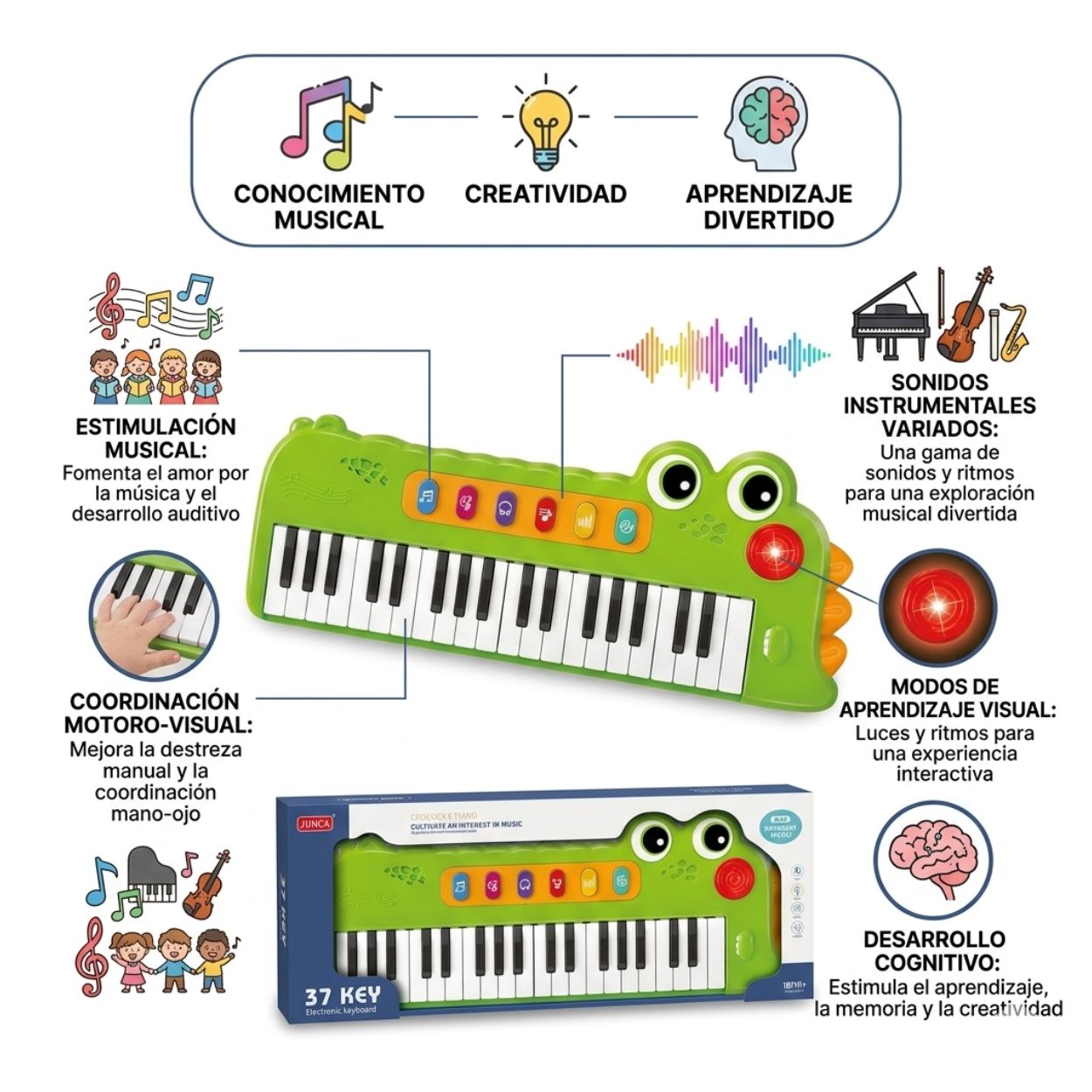 JUGUETE PIANO COCODRILO TECLADO MUSICAL DIDÁCTICO 37 TECLAS - 2