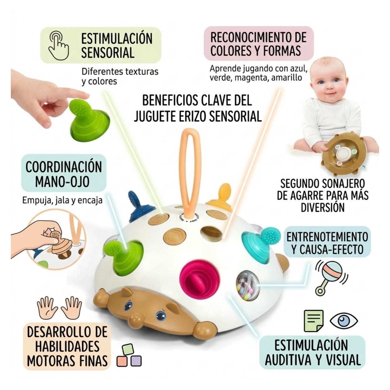 JUGUETE SENSORIAL ERIZO MONTESSORI 4 EN 1 - ESTIMULACIÓN TEMPRANA PARA BEBÉS - 4