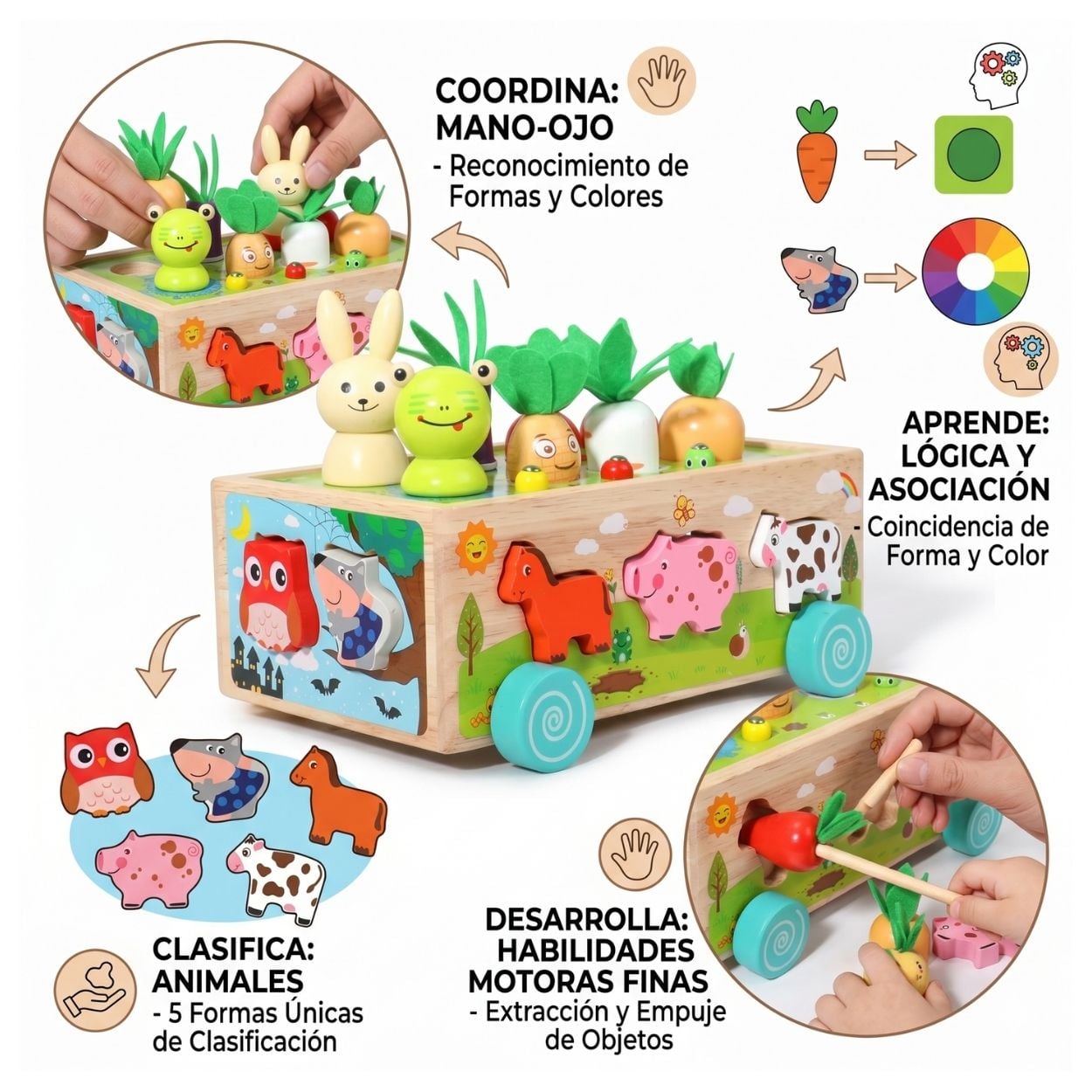 CARRITO DIDÁCTICO GRANJA ZANAHORIAS Y ANIMALES - 2