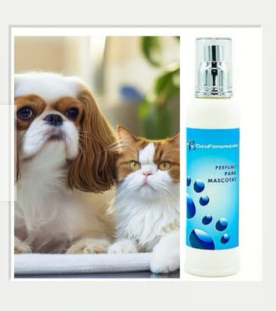 PERFUME VEGANO PARA PERROS Y GATOS MACHOS CIENFRAGANCIAS CIEN ESENCIAS AMADERADO ESPECIADO, SUAVE Y ELEGANTE 150ML - 6