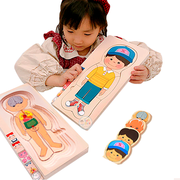 ROMPECABEZAS 3D CUERPO HUMANO NIÑO - 1