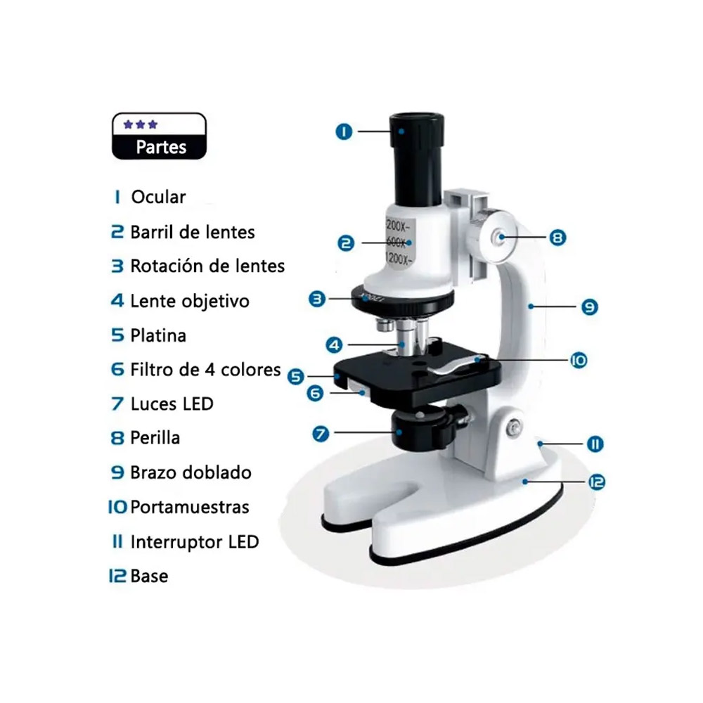 KIT LABORATORIO MICROSCOPIO PORTÁTIL CIENCIA EDUCATIVO 1200X - 3