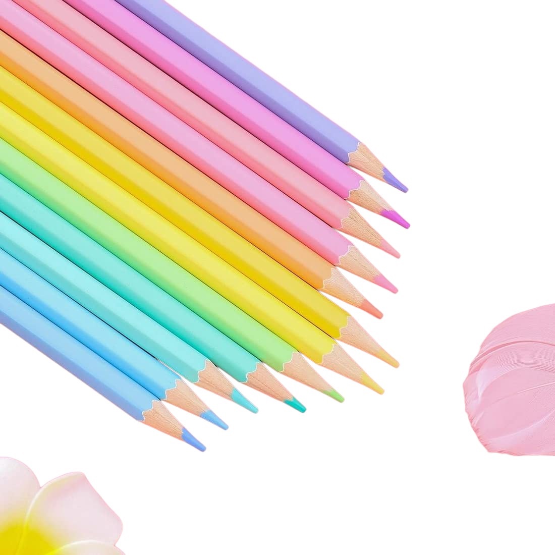 SET DE 6 CAJAS DE LAPICES DE COLORES PINTURAS PASTELES TRIANGULAR - 3
