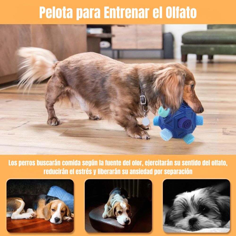 PELOTA INTERACTIVA PARA PERRO JUGUETE OLFATIVO DISPENSADOR DE PREMIOS - 4