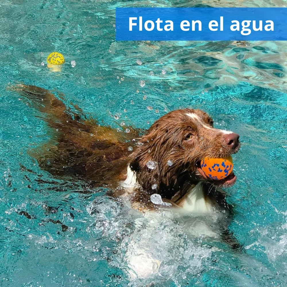 PELOTA SUPER-RESISTENTE PARA PERROS DE TODOS LOS TAMAÑOS E-TPU DIÁMETRO 7CM - 6