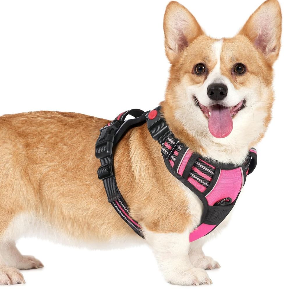 ARNÉS AJUSTABLE PARA PERRO TALLA SMALL ANTITIRONES REFLECTANTE CON ASA - 1