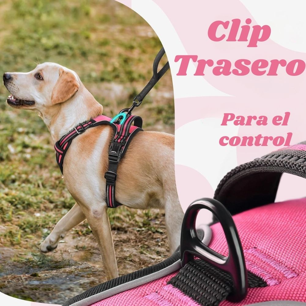 ARNÉS AJUSTABLE PARA PERRO TALLA SMALL ANTITIRONES REFLECTANTE CON ASA - 5