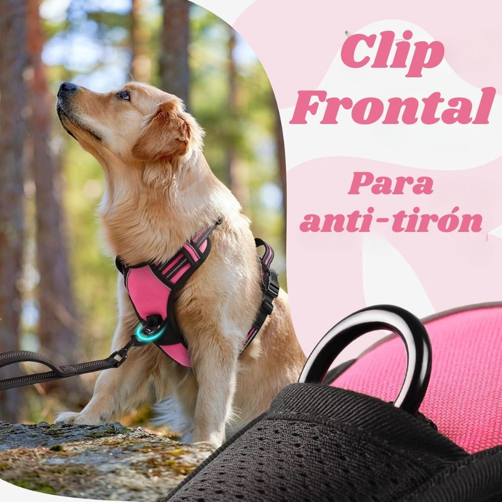ARNÉS AJUSTABLE PARA PERRO TALLA SMALL ANTITIRONES REFLECTANTE CON ASA - 6