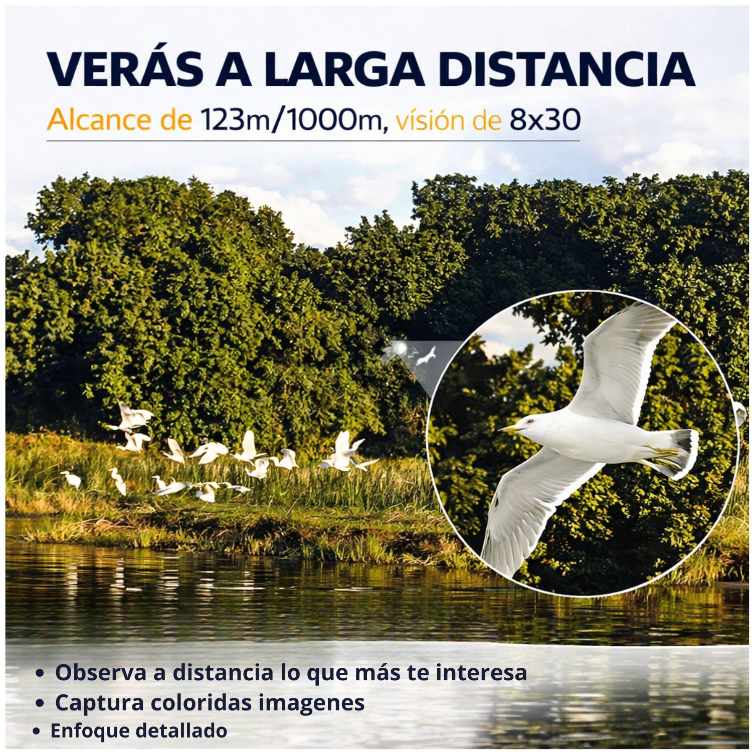 BINOCULARES COMPACTOS 8X30 LARGO ALCANCE 1000M ALTA DEFINICIÓN PROFESIONALES PARA VIAJES NATURALEZA Y EVENTOS - 3
