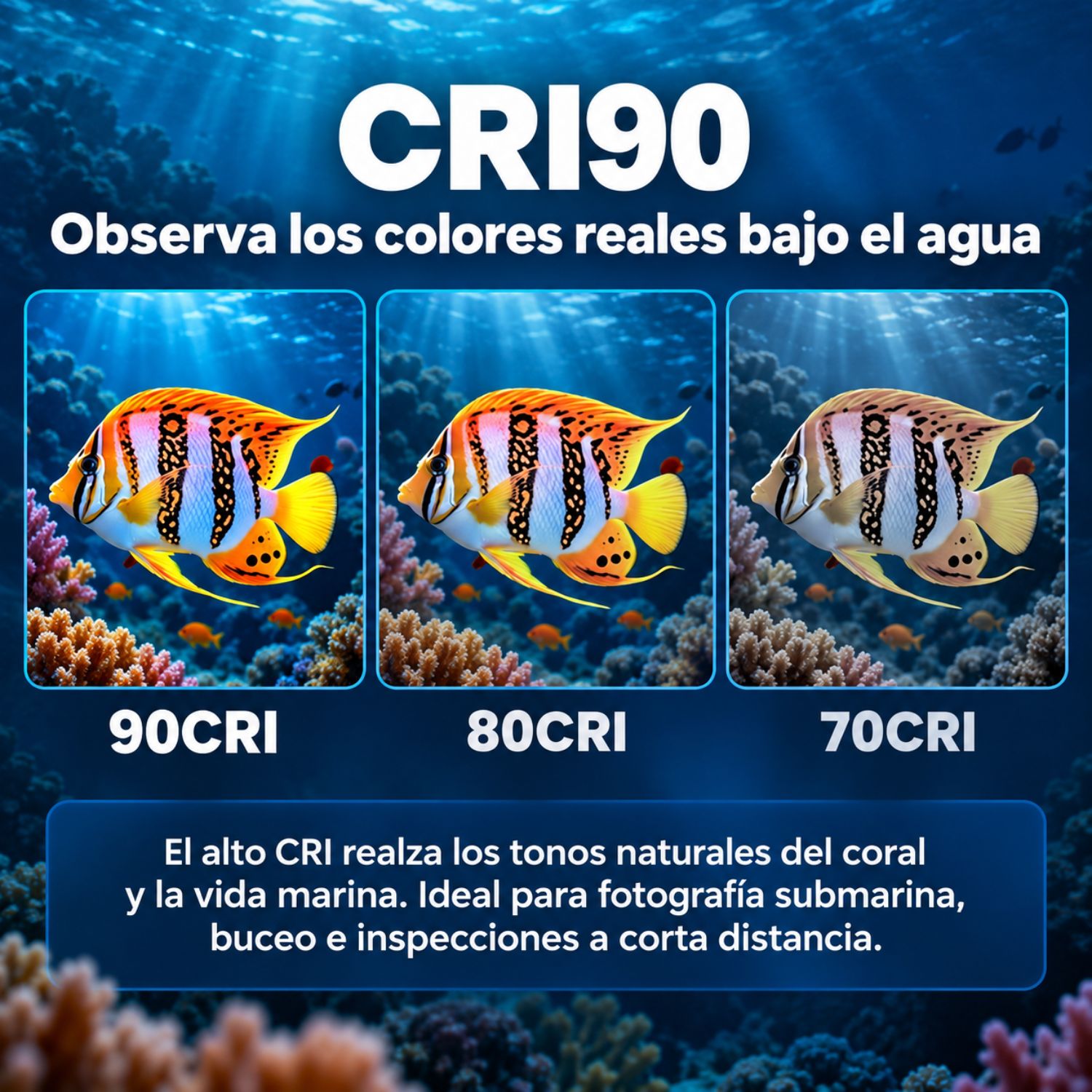 LINTERNA SUBACUÁTICA RECARGABLE USB-C 5000 LÚMENES 7500MAH IPX8 LUZ ROJA Y CCT - 5
