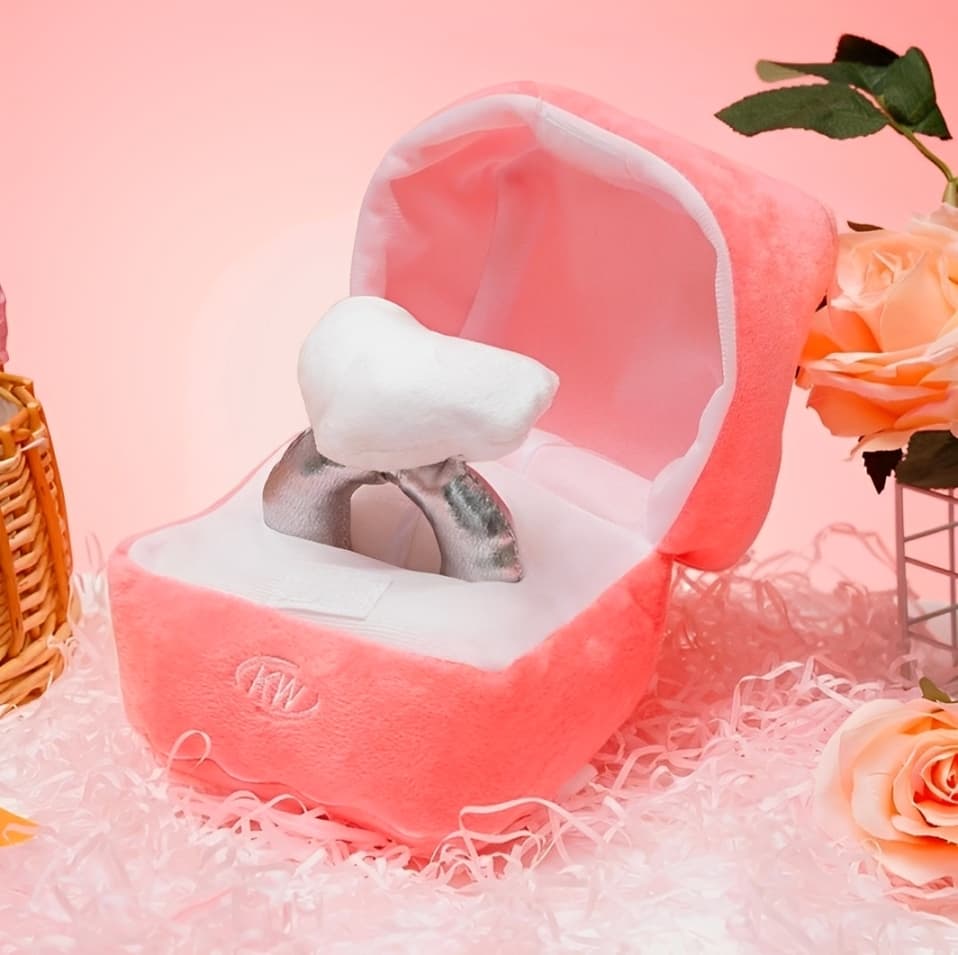 PELUCHE CAJA CON ANILLO - 3