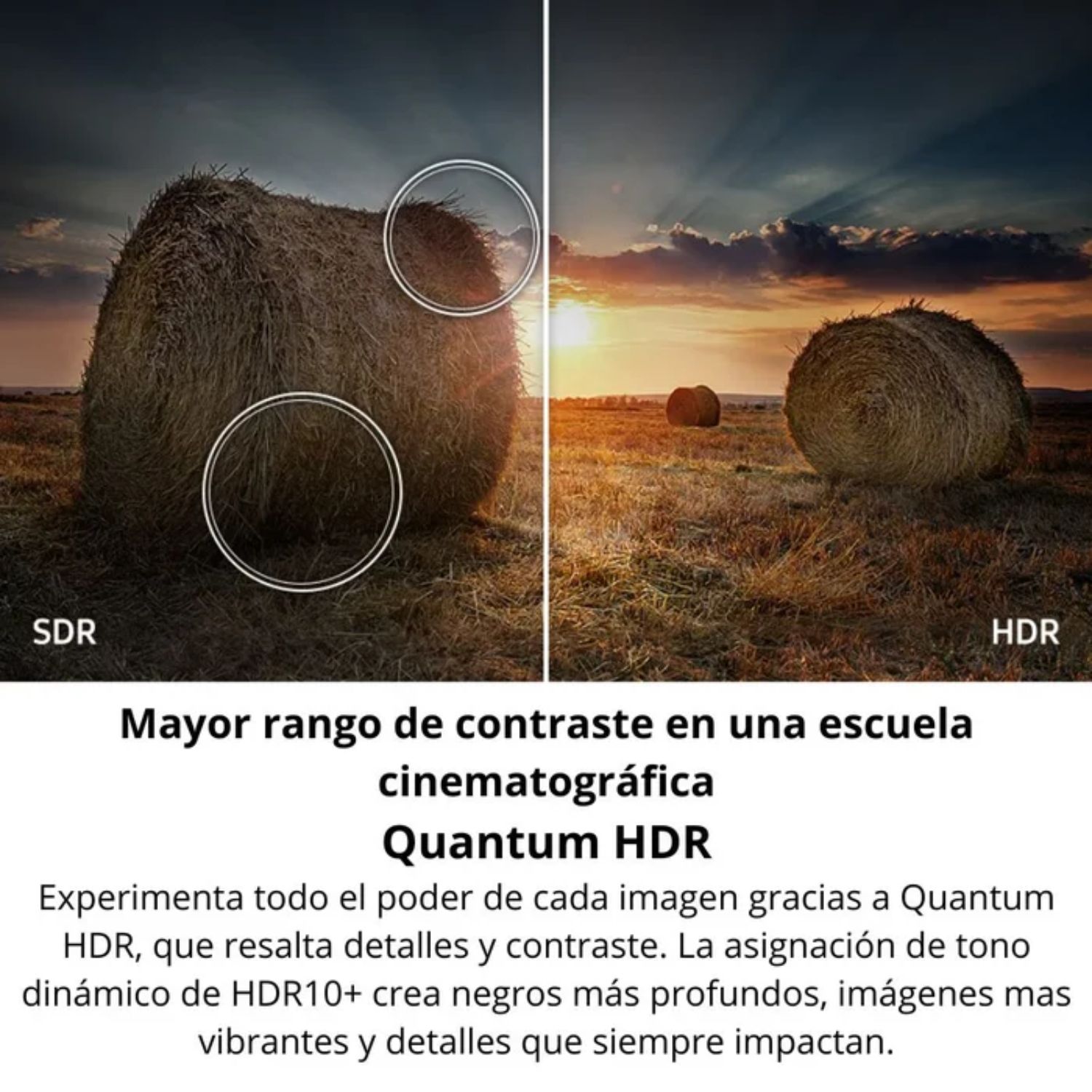 TELEVISOR SMART TV SAMSUNG 75'' QLED UHD 4K TIZEN QN75Q6FAAGXPE 2025 - 5