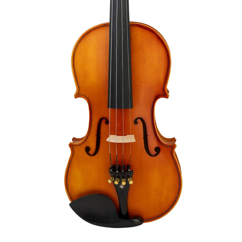 VIOLIN 4/4 DJERSEN SNVL103 - 2