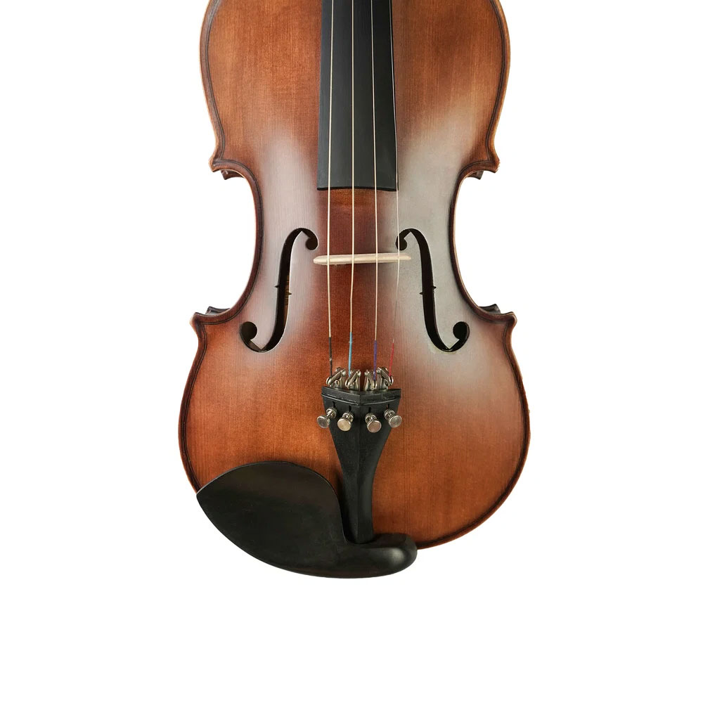 VIOLIN 4/4 MATE DJERSEN SNVL101 - 2