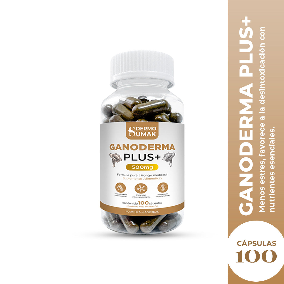 GANODERMA PLUS+ 500MG DERMO SUMAK - 2