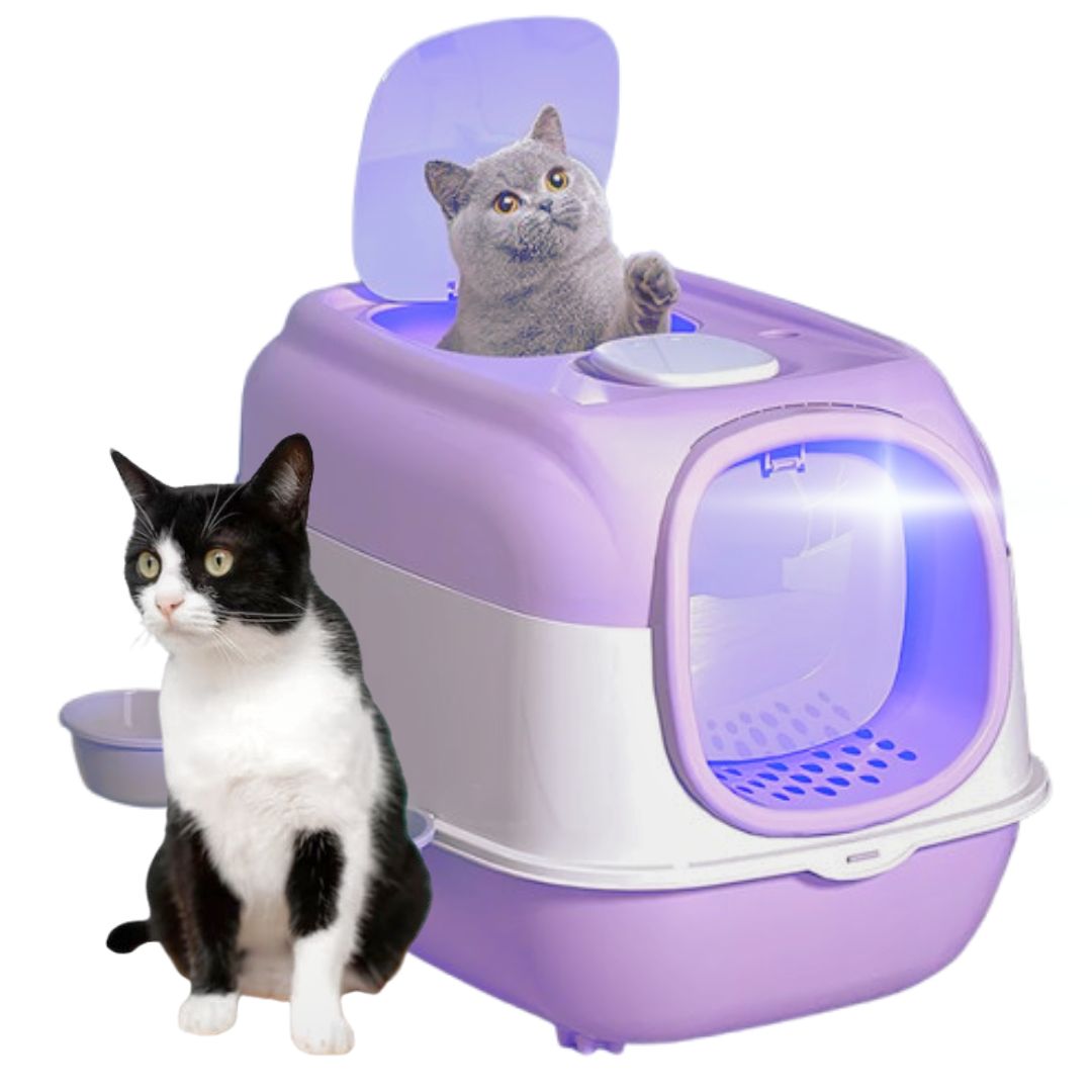 ARENERO LED DOBLE PUERTA PARA GATOS CONTRA BACTERIAS LILA - 1