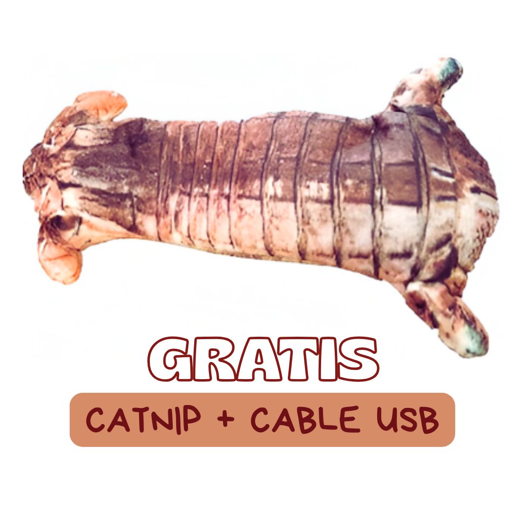 PESCADO ELECTRÓNICO CON SENSOR MOVIMIENTO PARA GATO MODELO 3 - 1