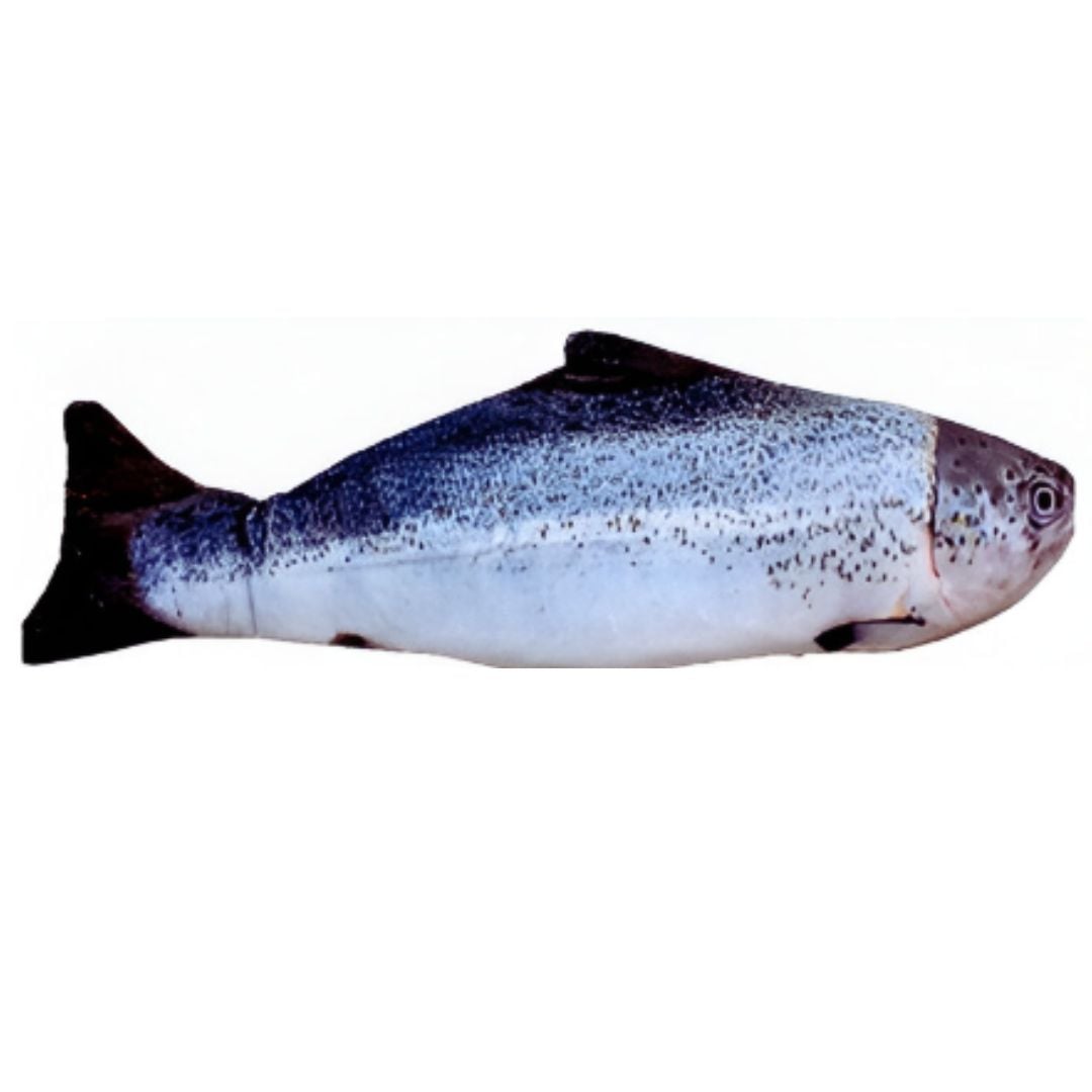 PESCADO ELECTRÓNICO CON SENSOR MOVIMIENTO PARA GATO MODELO 3 - 6